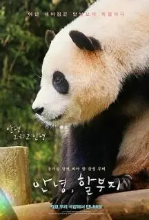 《再见，福宝》：一段感人至深的熊猫情缘，泪点与治愈并存