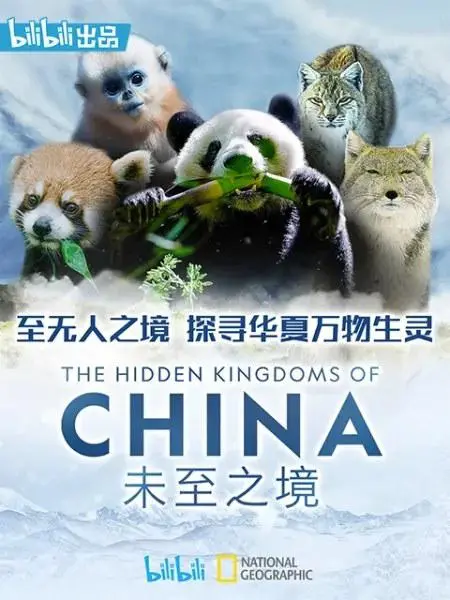 《未至之境》：穿越时空的爱情，揭秘命运的神秘轨迹