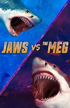 《下巴与梅格》：一段关于友谊与成长的治愈之旅