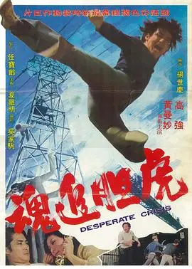 《虎胆追魂》：以暴制暴的复仇之路，正义能否战胜黑暗？