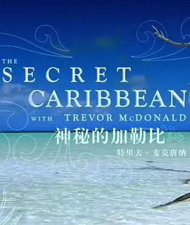 《神秘的加勒比》影评：杰克船长再起风云，这次能找到不老泉吗？